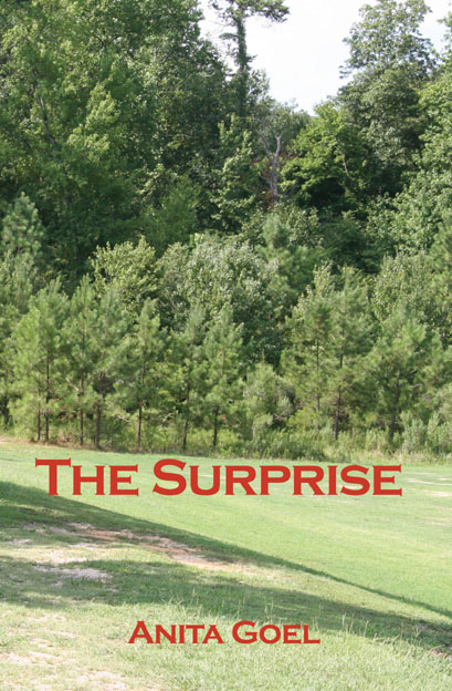 The Surprise - front cover